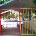 Brigida Alfaro