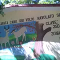 Rosaura Zapata Cano