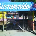 Constitucion