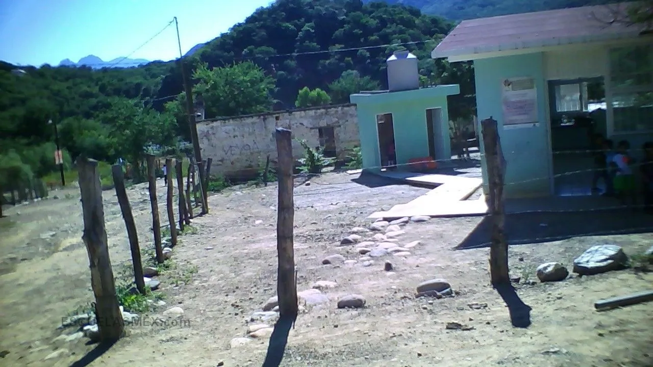 Alfredo Carrasco Entrada