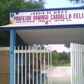Prof. Domingo Carballo Felix