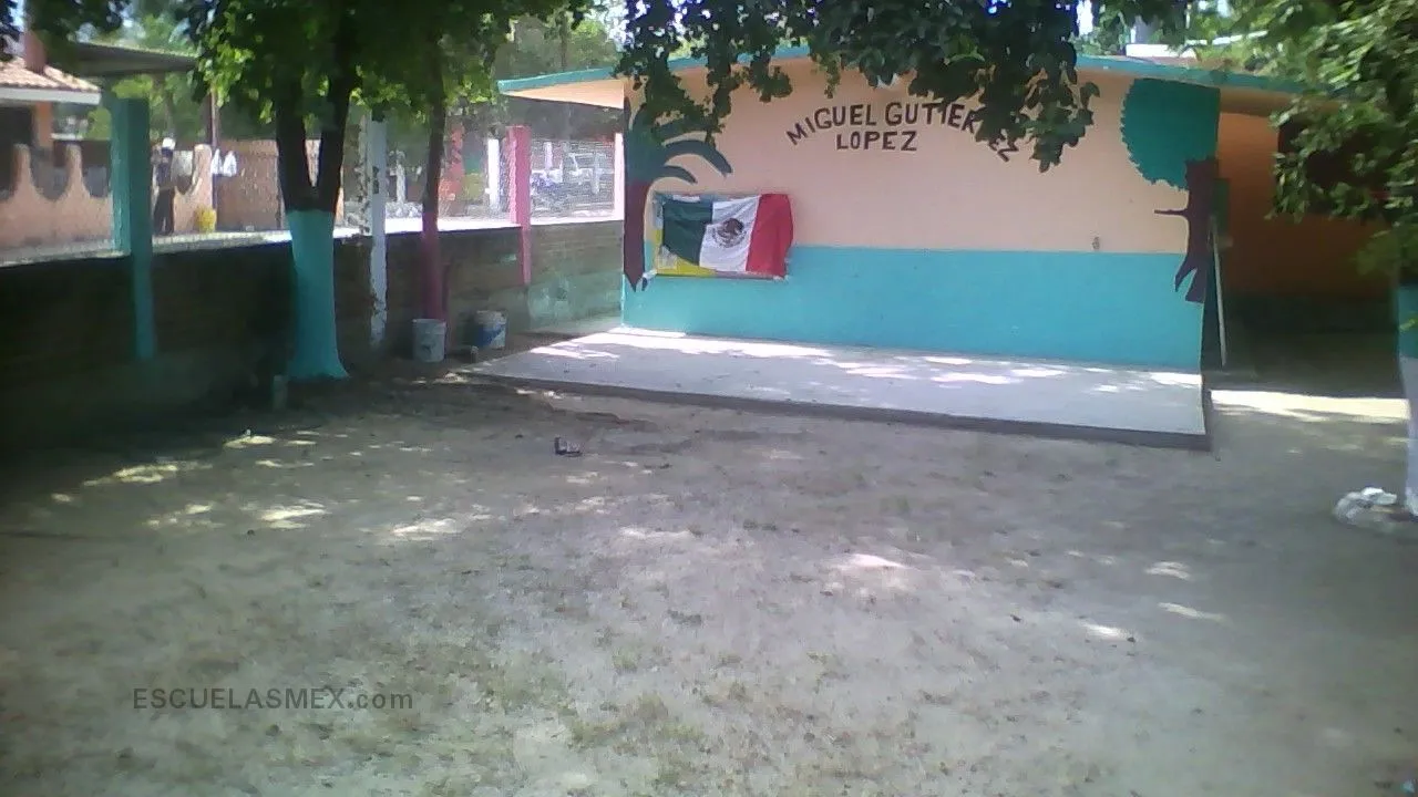 Prof. Miguel Gutierrrez Lopez Entrada