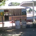 Candido Avilez Inzunza
