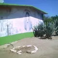 Vicente Guerrero