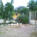 Doroteo Arango