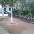 Hermanos Flores Magon