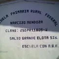 Narciso Mendoza