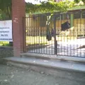 Secundaria Tecnica Num. 57