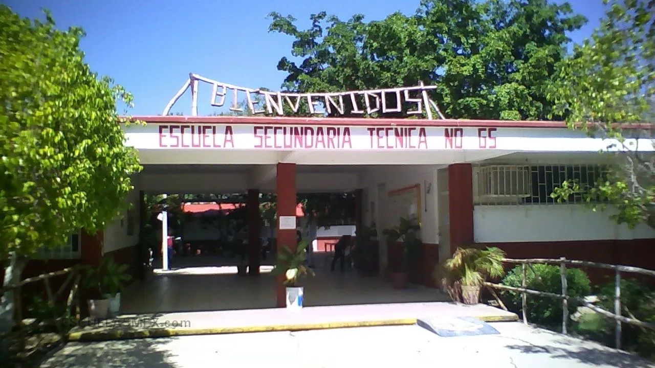 Secundaria Tecnica Num. 65 Entrada