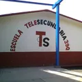 Telesecundaria Federalizada Num. 39