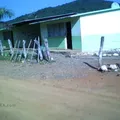 Telesecundaria Federalizada Num. 203