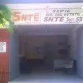 Snte Seccion 53