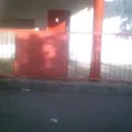 Snte Seccion 53