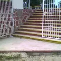 Profa. Sofia Felix de Ramos