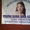 Profa. Elvira Seica Gonzalez