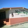 Miguel Hidalgo