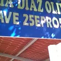 Maria Diaz Olivas