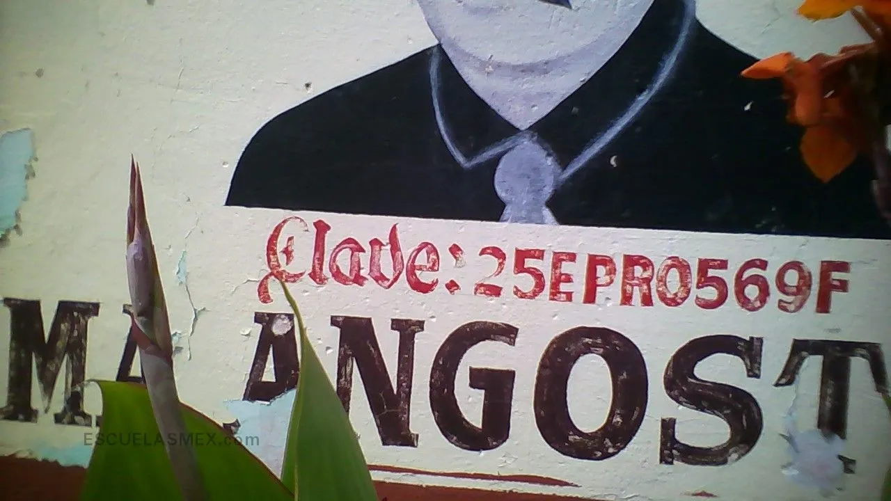 General Gabriel Leyva Solano CCT 25EPR0569F