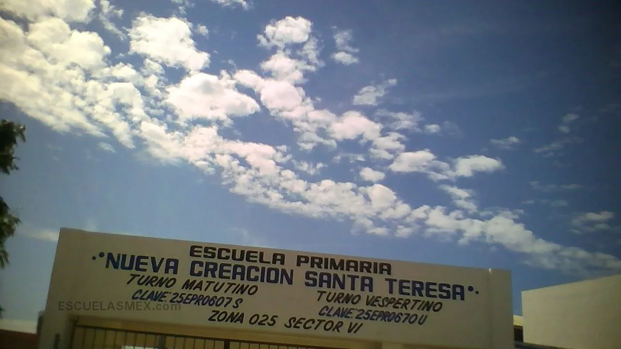 Nueva Creacion Entrada