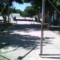 Profa. Elvira Ledon Solorzano