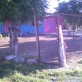 Niños Heroes