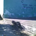 Preescolar Comunitario