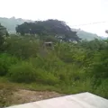 Preescolar Comunitario