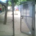 Preescolar Niño Migrante