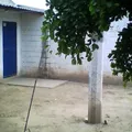 Preescolar Niño Migrante