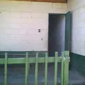 Primaria Niño Migrante
