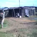 Primaria Niño Migrante