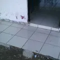 Primaria Comunitaria Indigena