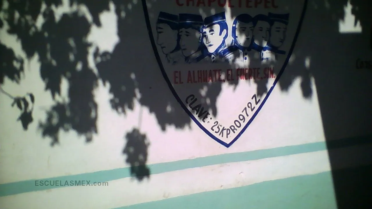 Cursos Comunitarios Primaria Entrada