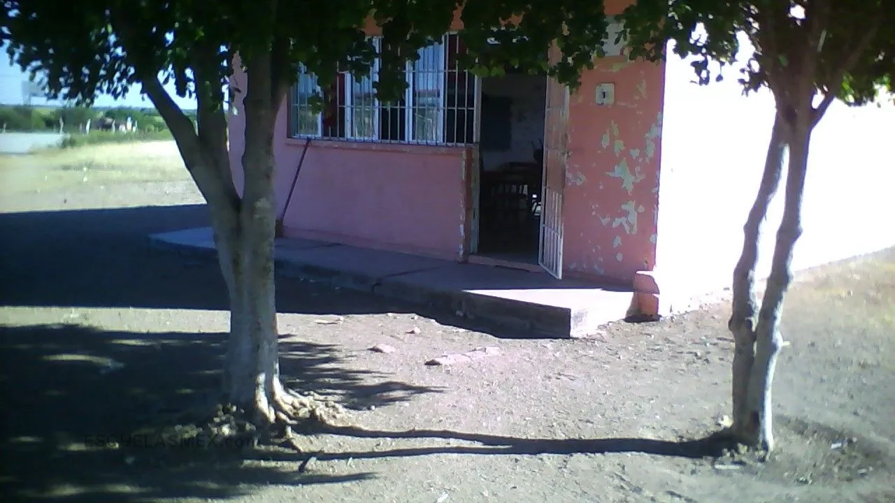 Cursos Comunitarios Primaria Entrada