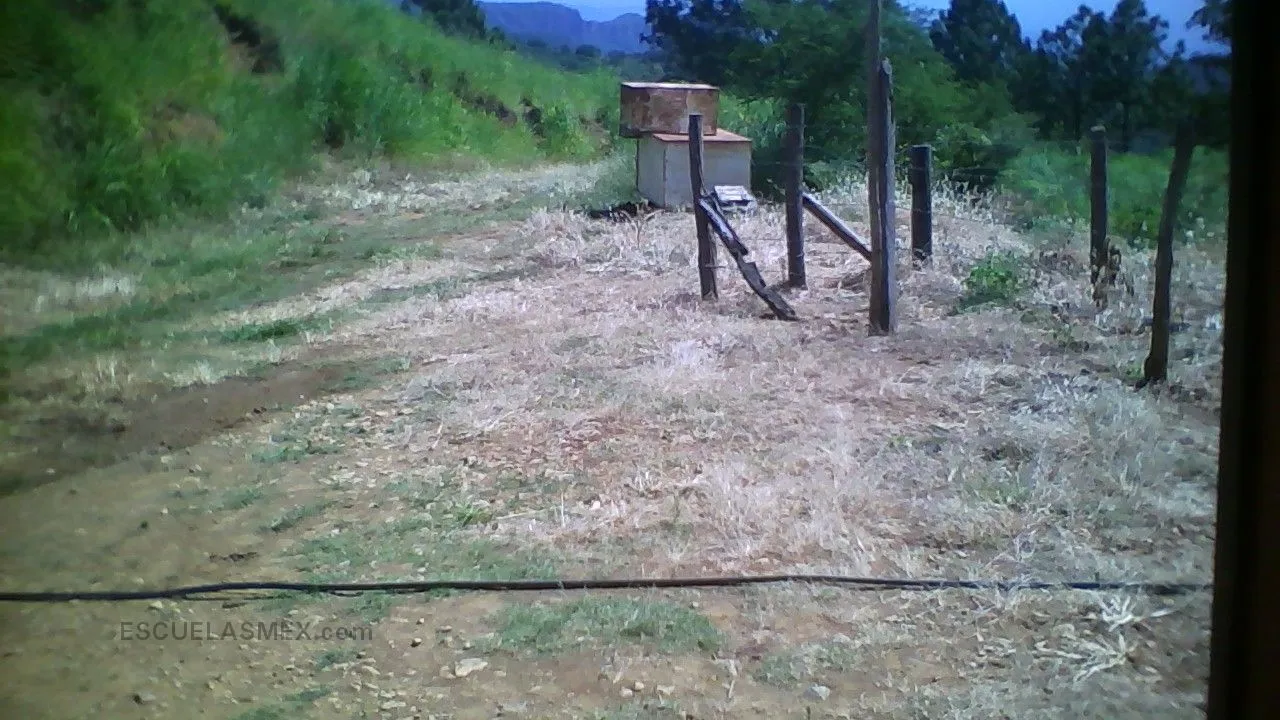 Primaria Comunitaria Entrada