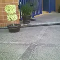 Instituto Andes Culiacán