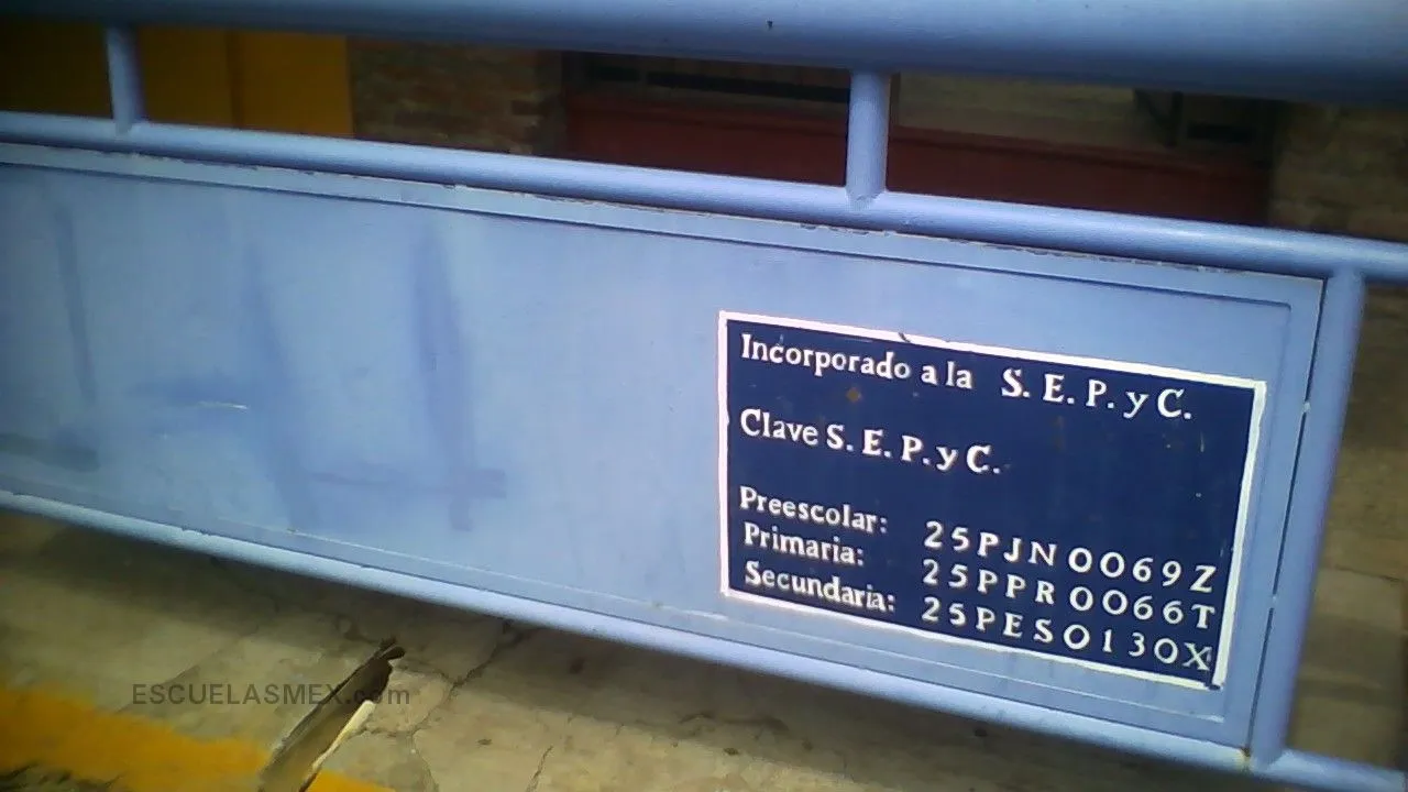 Circulo Cultural Papalotl, A.c. Entrada