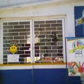 Colegio Bilingue Albert K Owen S.c.