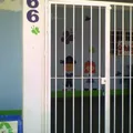 Liceo Hans Christian Andersen de Culiacan, S.c.