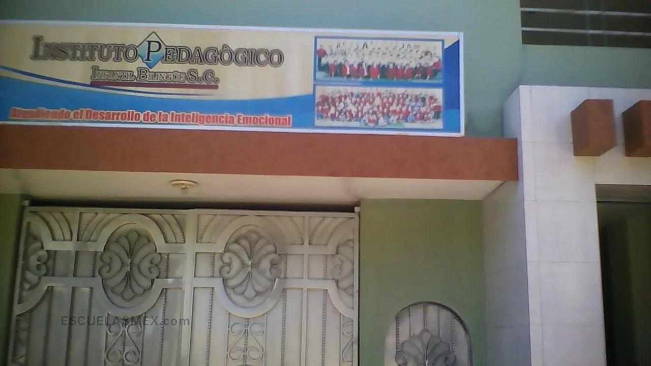 Instituto Pedagogico Infantil Bilingue S.c. Entrada