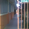 Instituto Senda del Rio A.c.