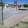 Tribu Papago
