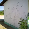 U-ili-sewa