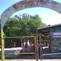 U-taa