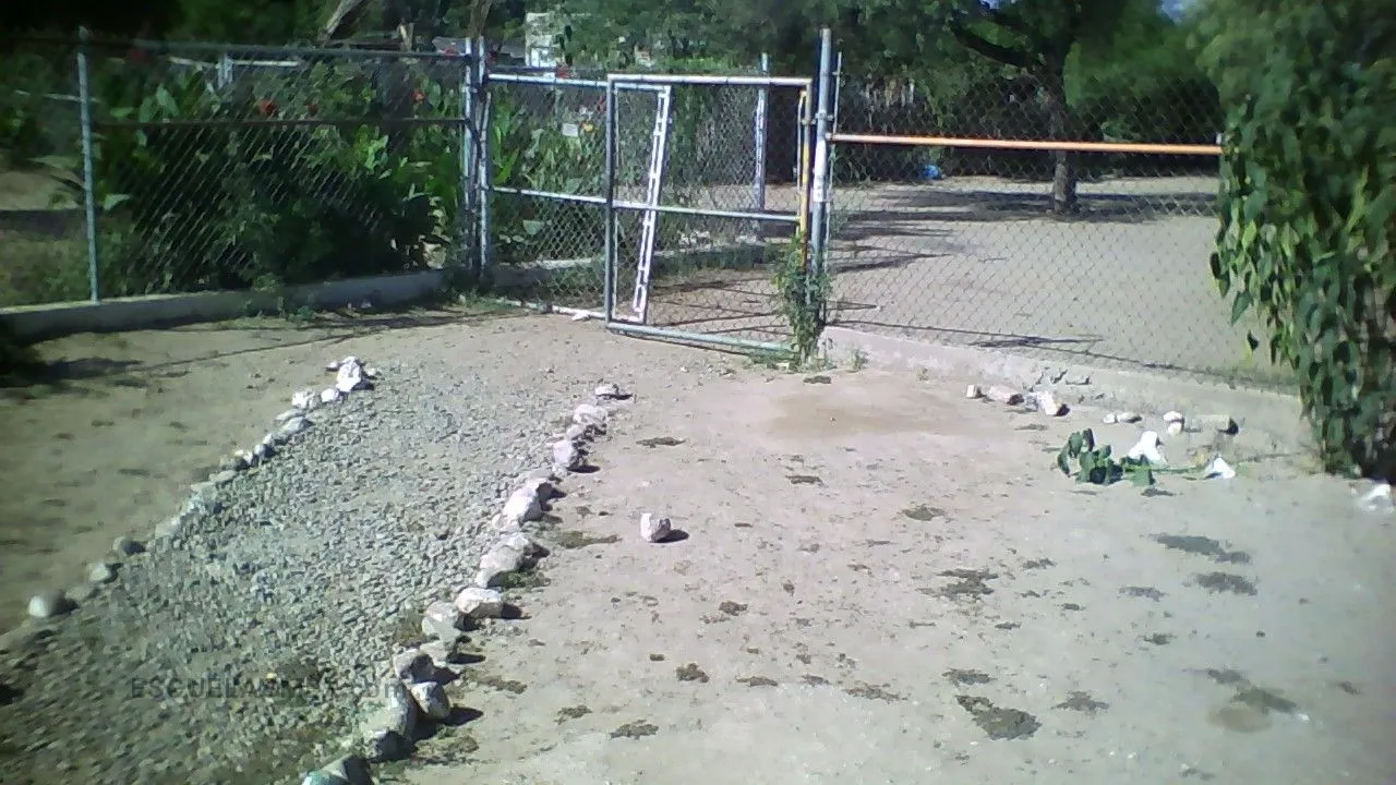Yolko Wikit Entrada