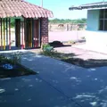 Primavera