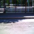 Jardin de Niños Nueva Creacion