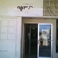 Secundaria General Num. 15