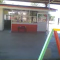Cri-cri