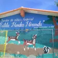 Estela Mendez Miranda